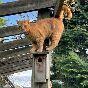 Meet your Posher, Karla